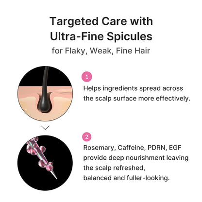 [NEW] [Medicube] Rosemary PDRN Scalp-To-Hair Strengthening Set | Includes Shampoo, Conditioner, Hair Mask, Scalp Serum | Hair Thinning Care Set for Dry & Oily, Damaged, Frizzy Hair, Oily Flaky-Looking Scalp | Korea Hair Care